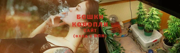 хмурый Дмитровск