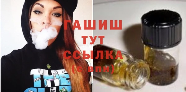 хмурый Дмитровск