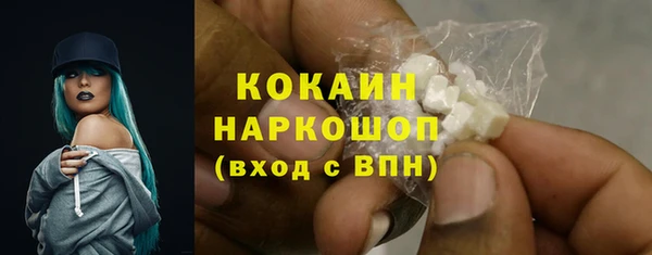 хмурый Дмитровск