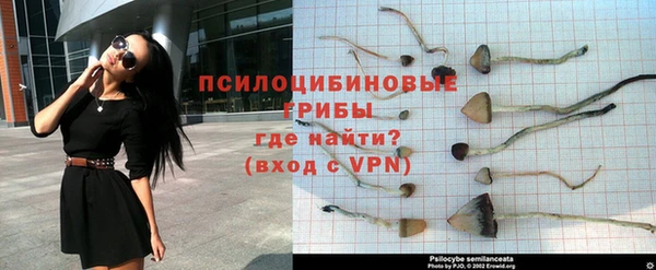 COCAINE Дмитриев