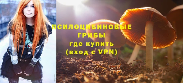 jwh Дмитров