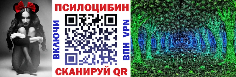 Псилоцибиновые грибы GOLDEN TEACHER  Купить закладки  Певек 